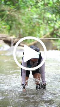 BIB:  <button type="button" onclick="openModal(26821019)" class="btn btn-primary btn-sm float-right" data-toggle="modal" data-target=".modal-high-quality">
                <i class="fa fa-download"></i> Download
                </button>